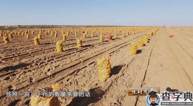 陕西靖边土豆姐姐种植土豆创业，一年收获3000万