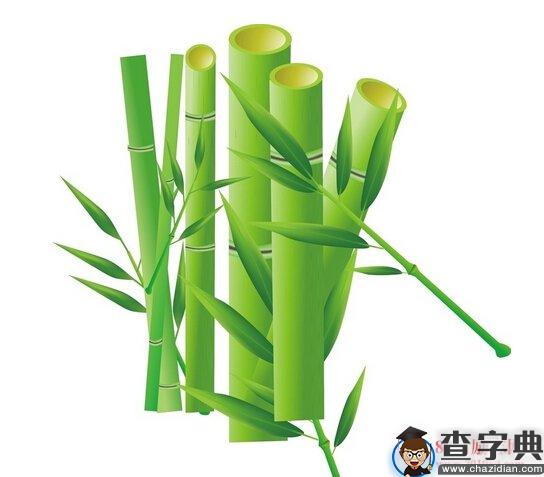 竹子的成长过程给我们的励志启示