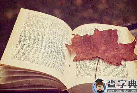 毕业唯美留言句子 大学毕业季语录