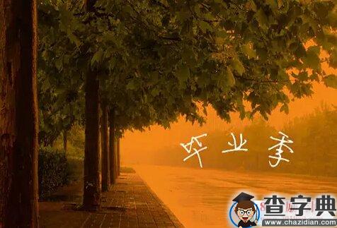 毕业唯美留言句子 大学毕业季语录