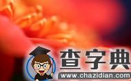 无缘牵手的情感遭际，就犹如开放之后很快凋谢的满地昙花