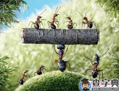 现实总让人沮丧，但你的付出，时光不会辜负