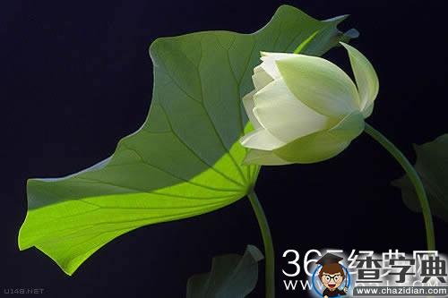 来自有意思吧（www.u148.net）