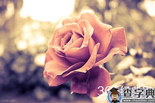 来自有意思吧（www.u148.net）