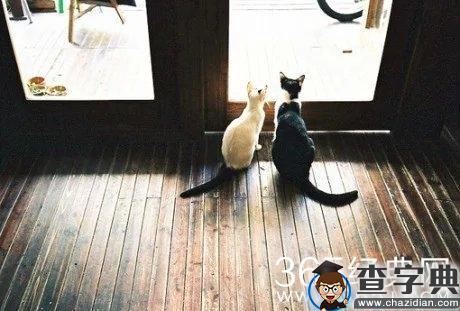 早安心语：失望攒够了自然会松手。2015.09.18