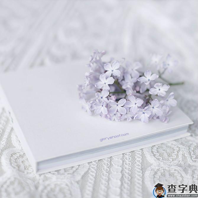 帮助你成功的五个好习惯