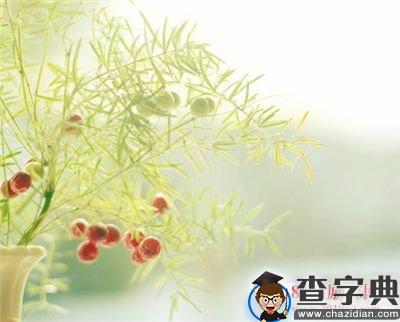 给喜欢的人空间留言的句子
