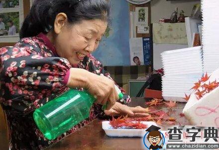 日本有个村庄，靠捡树叶年入千万！