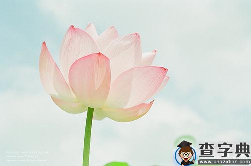 同情他人或廉洁自律的名人名言