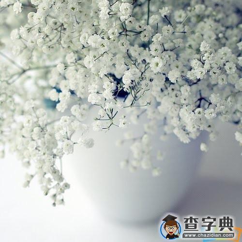 爱情经典语录：一个人辗转难眠却无人知晓1