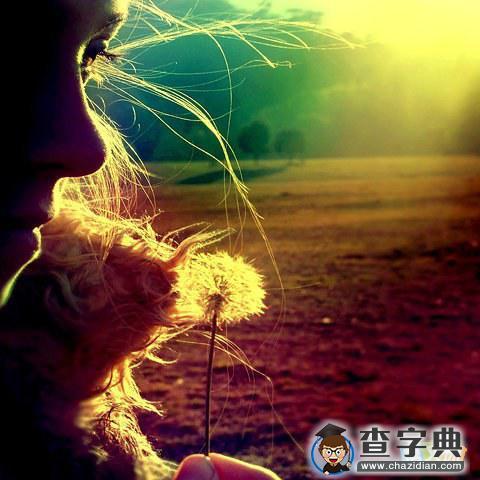 充满正能量的幸福爱情语录1
