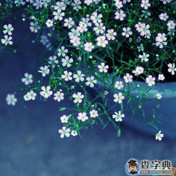 爱情经典语录：爱是牵挂，爱是奉献1
