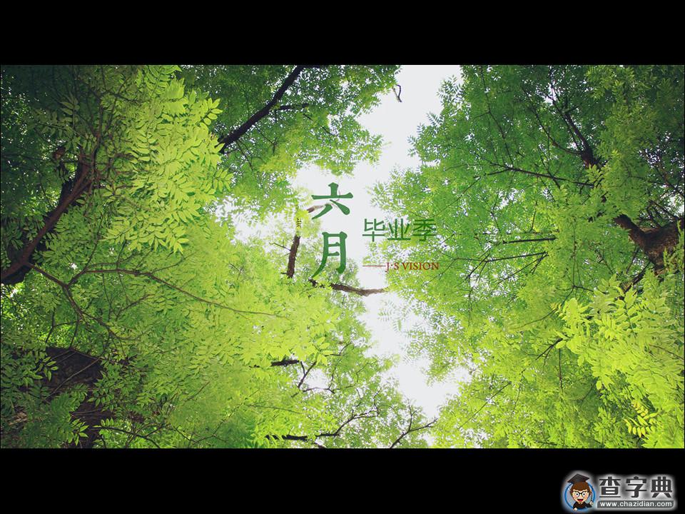 青春毕业季语录1