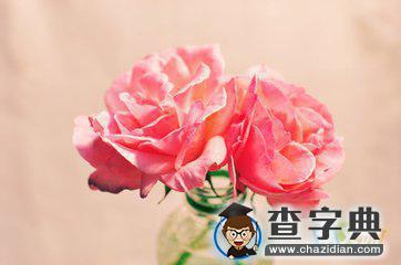 最经典的英文爱情宣言汇总4