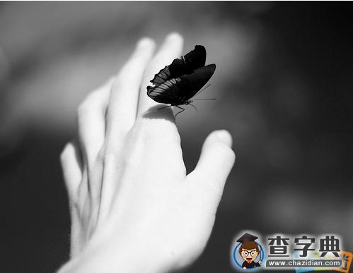 关于爱情的空间说说精选1