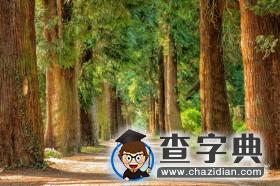 当我们沉浸在幸福中的时候，往往总是羡慕别人的好1