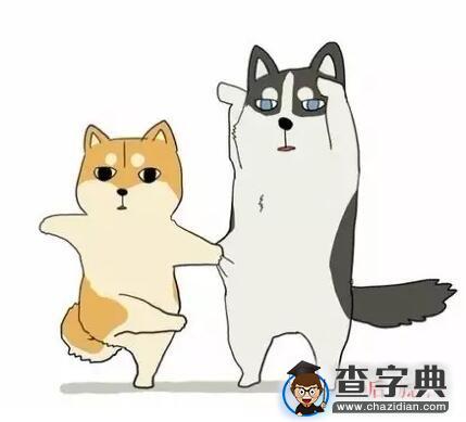 负能量的段子，一碗热腾腾的负能量的毒鸡汤1