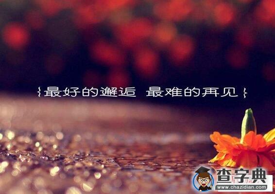 感慨爱情的句子，描写爱情的经典句子1