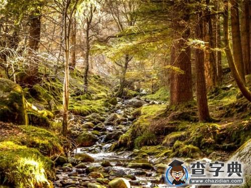而是你值得拥有更好的1