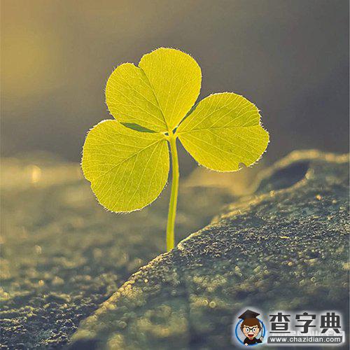 名人名言大全小学生常用1