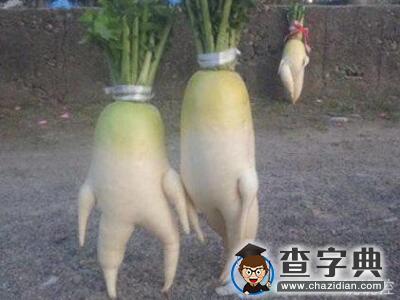 QQ搞笑说说大全：生活不只有眼前的苟且，还有数不清的作业2