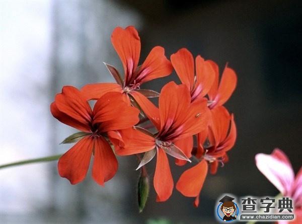 唯美伤感的爱情说说带你一起努力走出来,伤感句子1